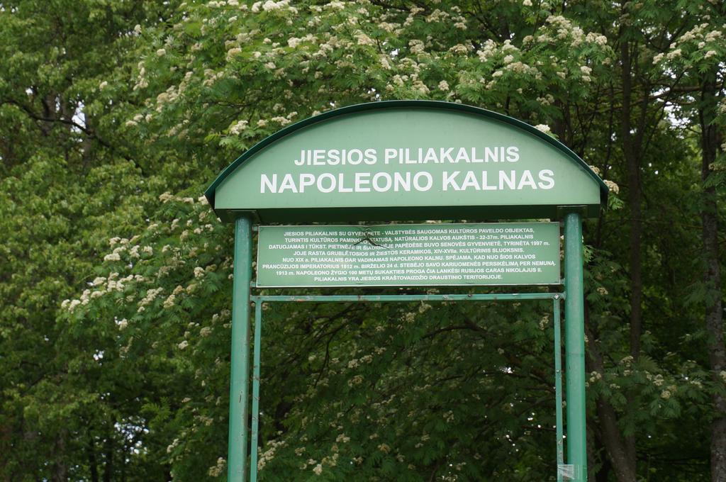 Napoleon Hill Apartment カウナス エクステリア 写真