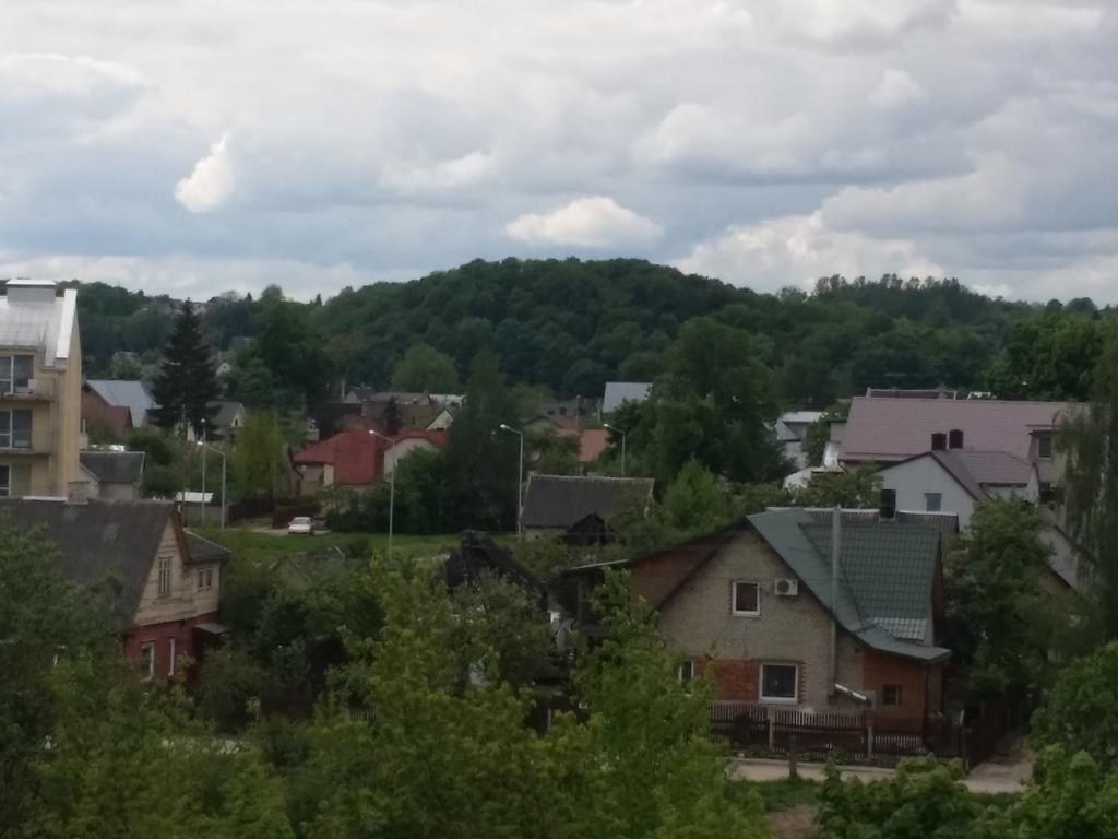 Napoleon Hill Apartment カウナス エクステリア 写真